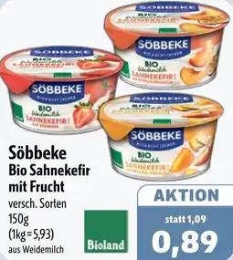 Aktiv Irma Söbbeke Bio Sahnekefir mit Frucht Angebot