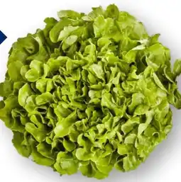 Edeka Unsere Heimat Echt & Gut Kraussalat Angebot