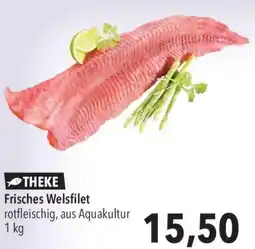 CITTI Markt Frisches Welsfilet Angebot