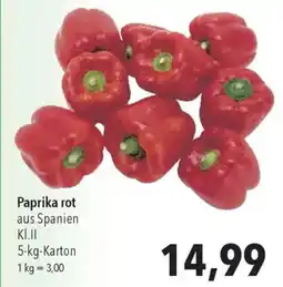 CITTI Markt Paprika rot Angebot