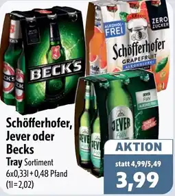 Aktiv Irma Schöfferhofer, Jever oder Becks Tray Angebot