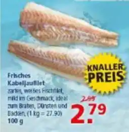 Multi Markt Frisches Kabeljaufilet Angebot