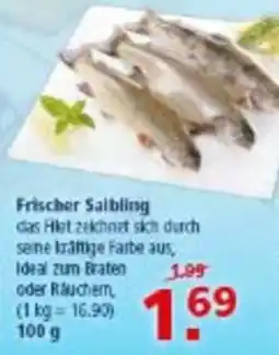 Multi Markt Frischer Saibling Angebot