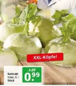 Multi Markt Kohlrabi Angebot