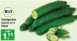 Multi Markt Salatgurken Angebot