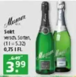 Multi Markt Mumm Sekt Angebot