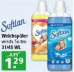 Multi Markt Softlan Welchspüler Angebot