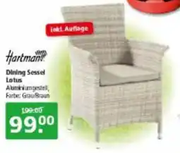 Multi Markt Hartman Dining Sessel Lotus Angebot