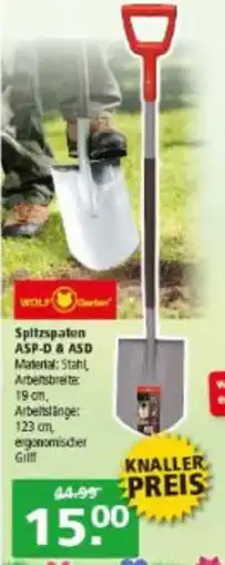 Multi Markt WOLF Spitzspaten ASP-D & ASD Angebot