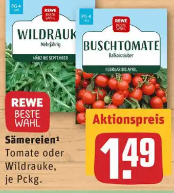 REWE Sämereien Angebot