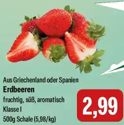 Feneberg Erdbeeren Angebot