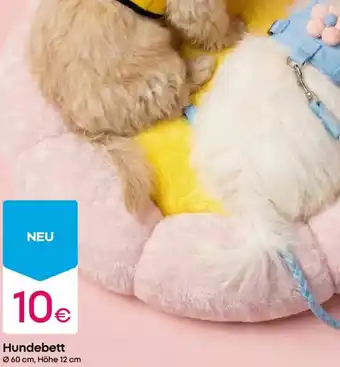 PEPCO Hundebett Angebot
