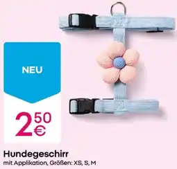PEPCO Hundegeschirr Angebot