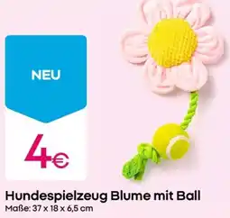 PEPCO Hundespielzeug Blume mit Ball Angebot