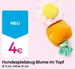 PEPCO Hundespielzeug Blume im Topf Angebot