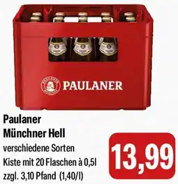 Feneberg Paulaner Münchner Hell Angebot
