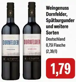 Feneberg Weingenuss Dornfelder, Spätburgunder und weitere Sorten Angebot