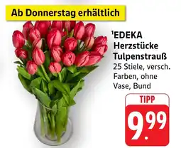 Edeka Neukauf EDEKA Herzstücke Tulpenstrauß Angebot