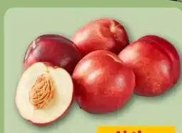 REWE Center Nektarinen Angebot