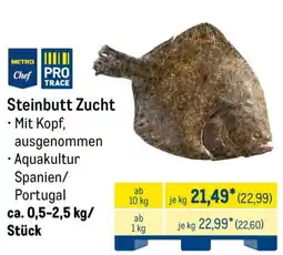 METRO Steinbutt Zucht Angebot