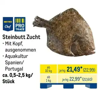 METRO Steinbutt Zucht Angebot