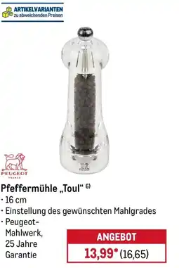 METRO PEUGEOT Pfeffermühle „Toul" Angebot