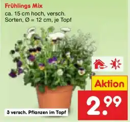 Netto Marken-Discount Frühlings Mix Angebot