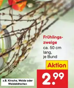 Netto Marken-Discount Frühlings zweige Angebot