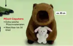 Netto Marken-Discount Plüsch Capybara Angebot