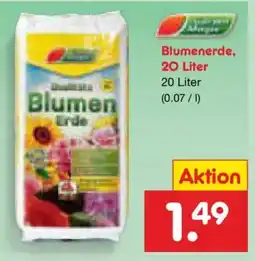 Netto Marken-Discount Blumen Erde Angebot