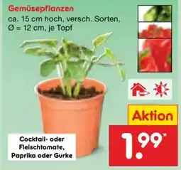 Netto Marken-Discount Gemüsepflanzen Angebot
