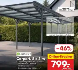 Netto Marken-Discount JUSKYS Carport, 5 x 3m Angebot