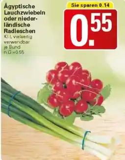 WEZ Ägyptische Lauchzwiebeln oder nieder ländische Radieschen Angebot