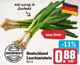AEZ Deutschland Lauchzwiebeln Angebot