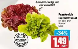AEZ Frankreich Eichblattsalat Angebot