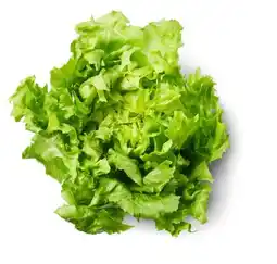 Kaufland Endivien Angebot