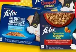 Kaufland Purina Felix Katzennahrung Angebot