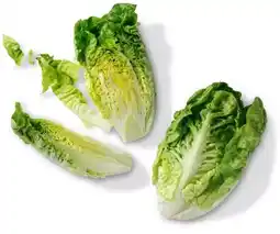 Kaufland Bio Mini Romanasalat Angebot