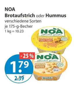 V Markt Noa brotaufstrich linse-curry Angebot