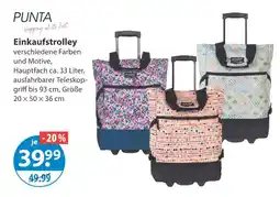 V Markt Punta einkaufstrolley Angebot