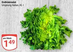 Globus Endiviensalat Angebot
