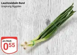 Globus Lauchzwiebeln Bund Angebot
