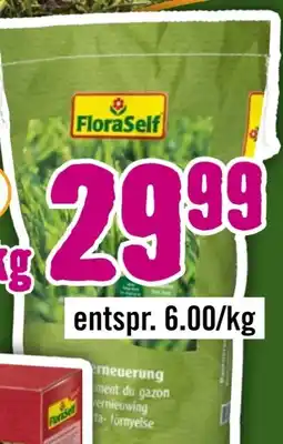 Hornbach FloraSelf Rasenerneuerung Angebot
