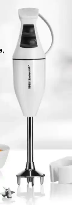 Handelshof Esge Zauberstab Stabmixer M100D Angebot