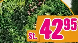 Hornbach FloraSelf Pflanzenwand Thallo Angebot