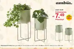 Möbelzentrum Pforzheim Ambia home pflanztopf Angebot