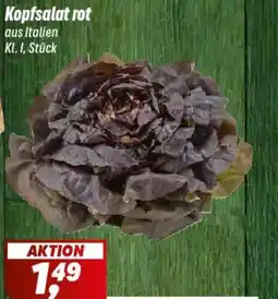 Simmel Kopfsalat rot Angebot