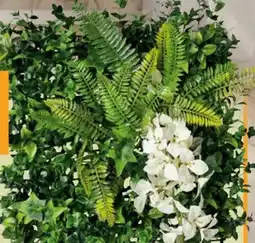 Hornbach Pflanzenwand Tropical Flair Angebot