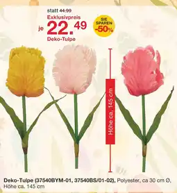 Möbelzentrum Pforzheim Deko-tulpe Angebot