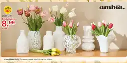 Möbelzentrum Pforzheim Ambia home vase Angebot